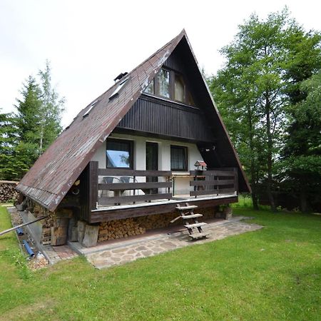 Nice Holiday Home In The Ore Mountains Only 500M From The Chairlift Loucna pod Klinovcem Exterior photo