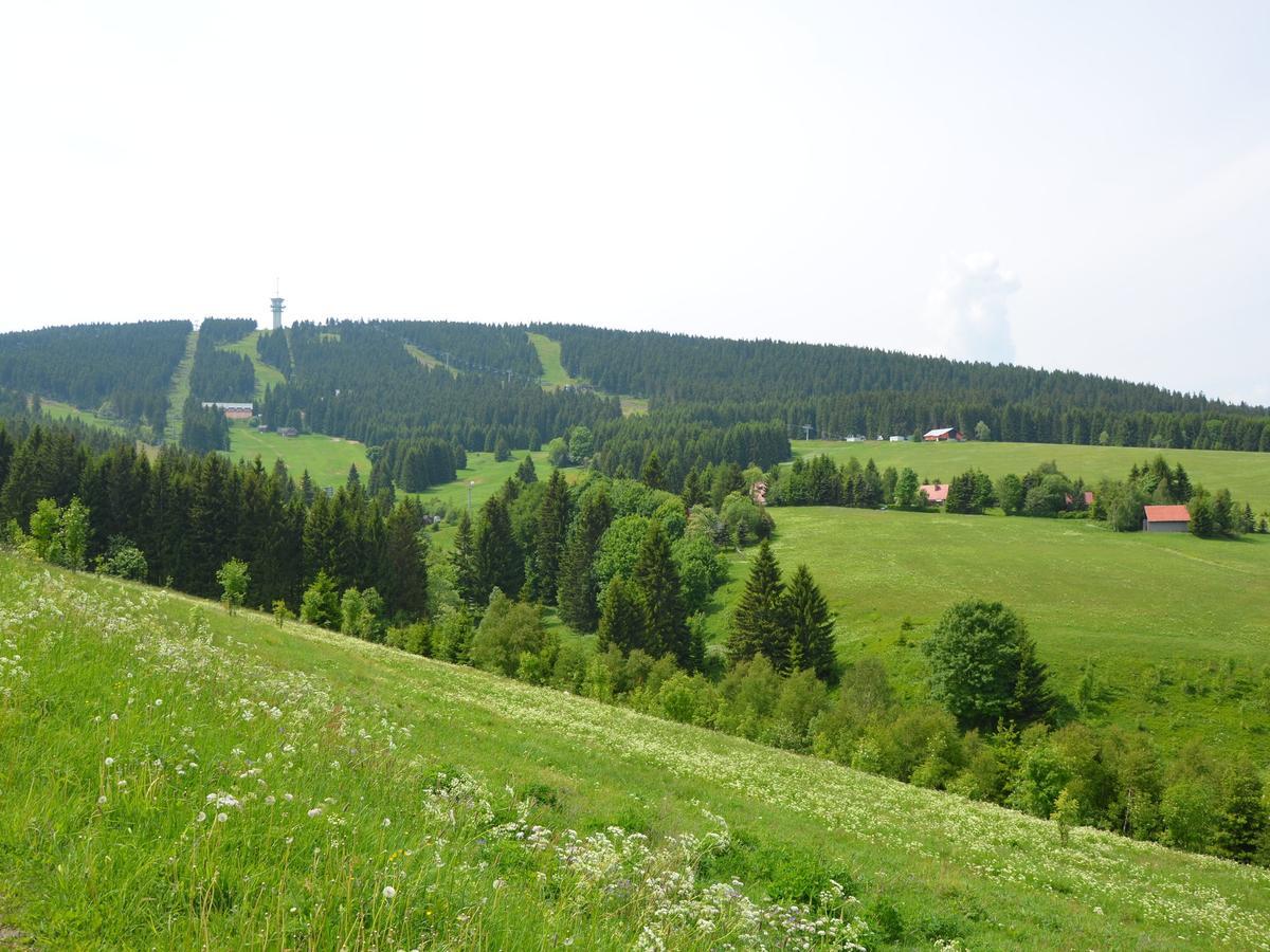 Nice Holiday Home In The Ore Mountains Only 500M From The Chairlift Loucna pod Klinovcem Exterior photo